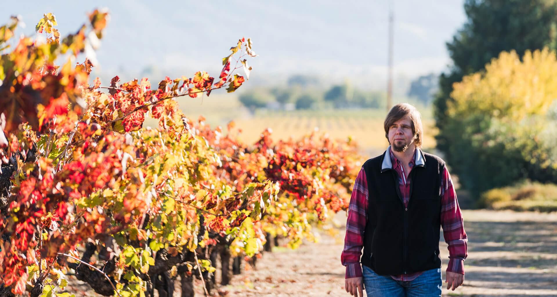 Dave Ready Jr., Murphy-Goode Winemaker walking throughout vineyards