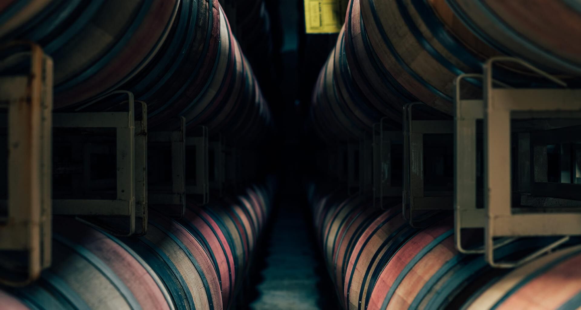 Looking down a row of wine barrels
